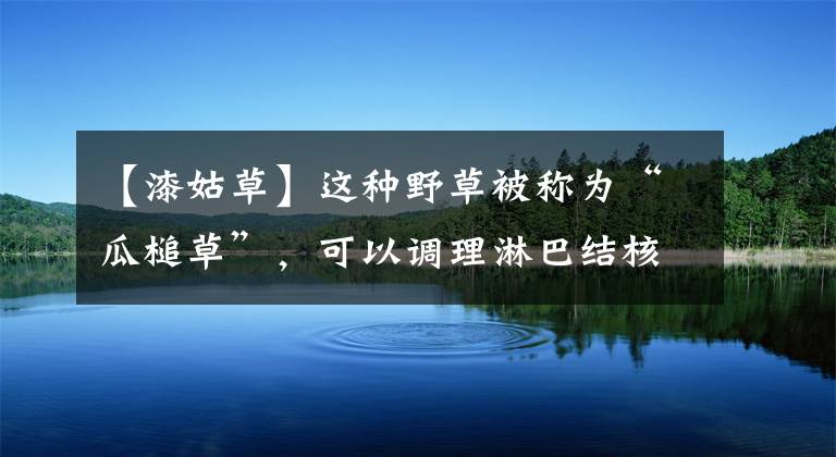 【漆姑草】這種野草被稱為“瓜槌草”，可以調(diào)理淋巴結(jié)核、蛇咬傷、瘡瘍！