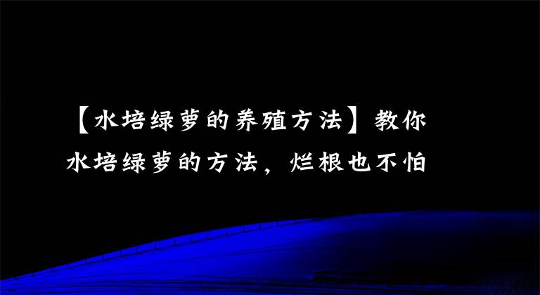 【水培綠蘿的養(yǎng)殖方法】教你水培綠蘿的方法，爛根也不怕，還可以接著長(zhǎng)！