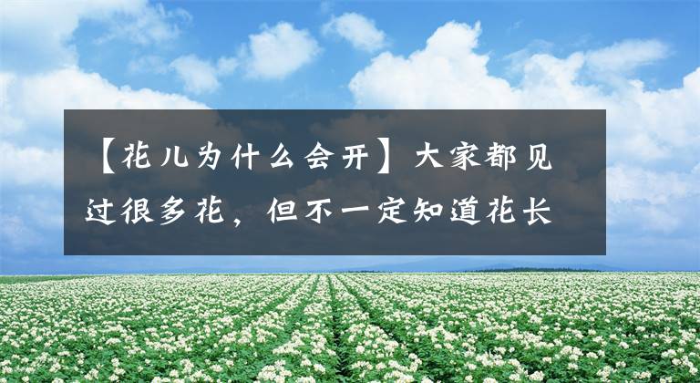 【花兒為什么會開】大家都見過很多花，但不一定知道花長什么樣。