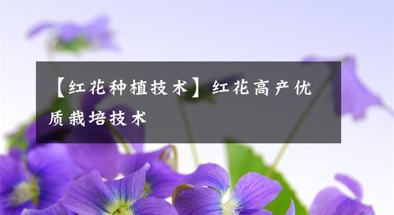 【紅花種植技術(shù)】紅花高產(chǎn)優(yōu)質(zhì)栽培技術(shù)