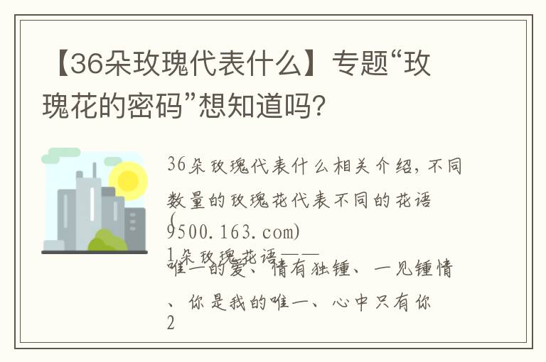 【36朵玫瑰代表什么】專題“玫瑰花的密碼”想知道嗎？