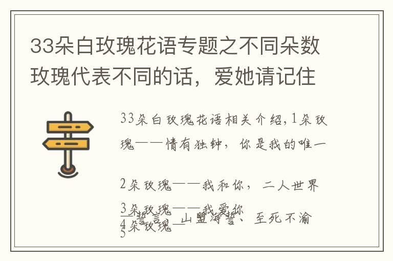 33朵白玫瑰花語專題之不同朵數(shù)玫瑰代表不同的話，愛她請記住