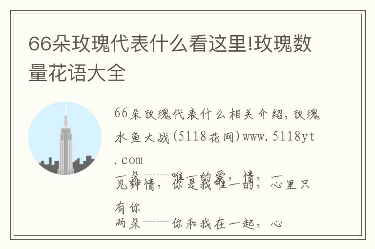 66朵玫瑰代表什么看這里!玫瑰數(shù)量花語大全