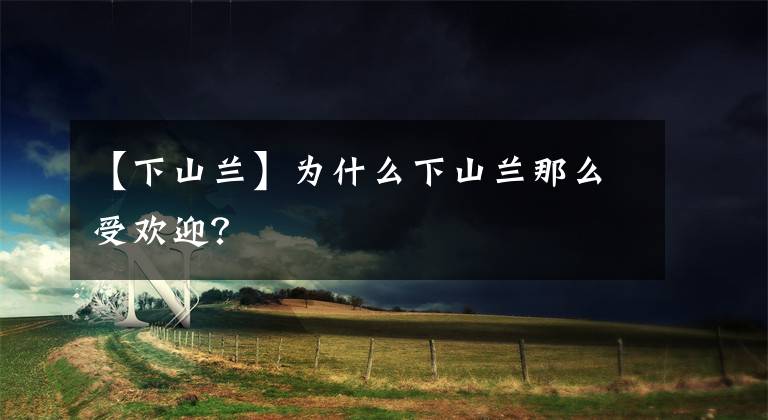 【下山蘭】為什么下山蘭那么受歡迎？