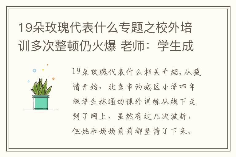 19朵玫瑰代表什么專題之校外培訓多次整頓仍火爆 老師：學生成長除了知識還要留白