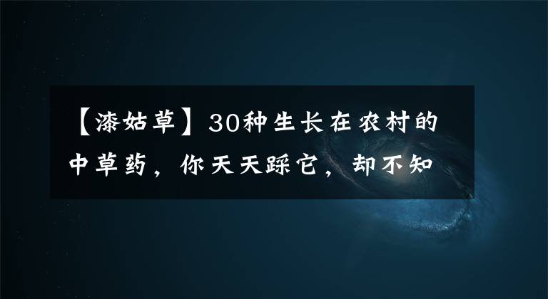 【漆姑草】30種生長在農(nóng)村的中草藥，你天天踩它，卻不知它的神奇功效！