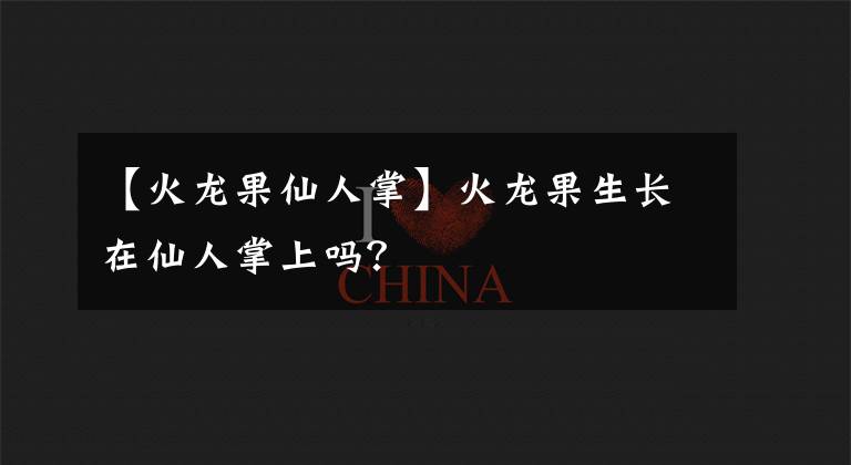 【火龍果仙人掌】火龍果生長在仙人掌上嗎？