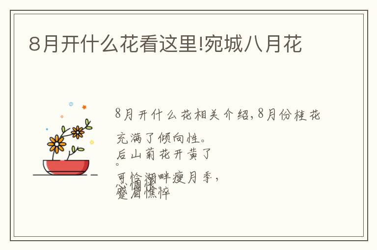 8月開(kāi)什么花看這里!宛城八月花