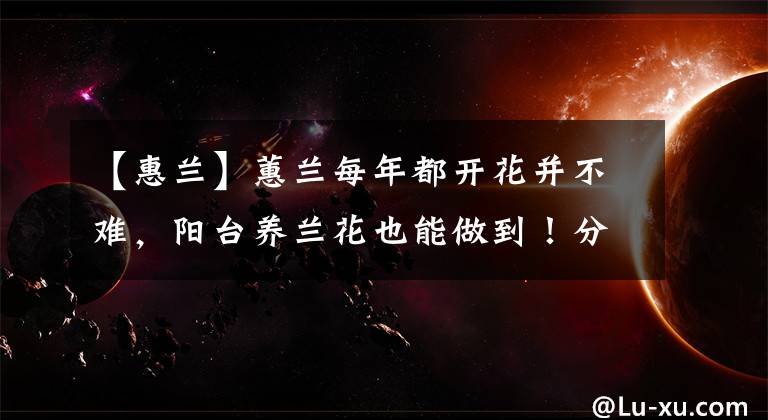 【惠蘭】蕙蘭每年都開花并不難，陽臺養(yǎng)蘭花也能做到！分享3點實用技巧