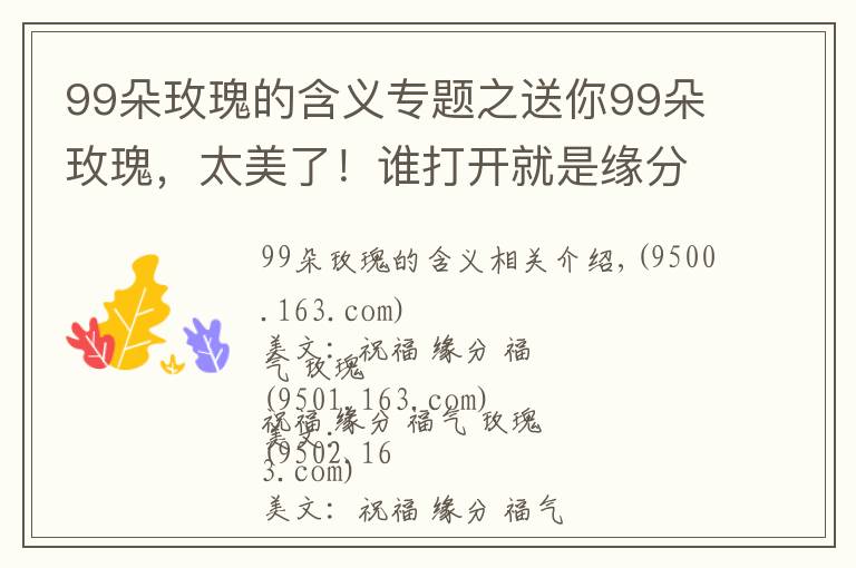 99朵玫瑰的含義專題之送你99朵玫瑰，太美了！誰打開就是緣分，就是祝福！