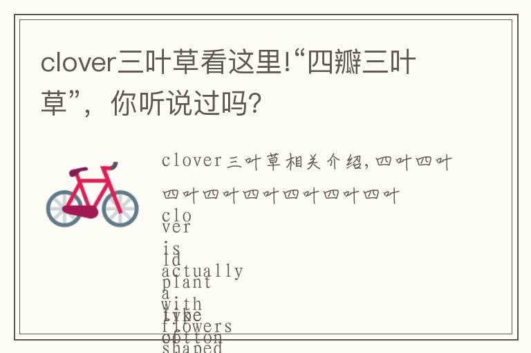 clover三葉草看這里!“四瓣三葉草”，你聽說過嗎？