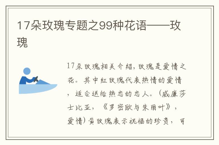 17朵玫瑰專題之99種花語(yǔ)——玫瑰