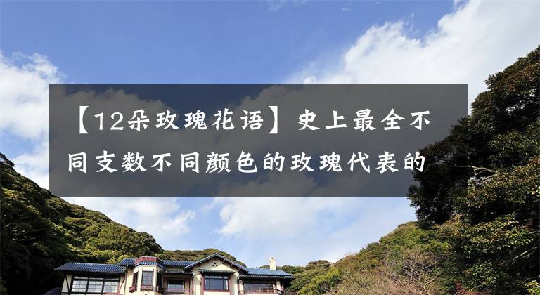 【12朵玫瑰花語】史上最全不同支數不同顏色的玫瑰代表的含義