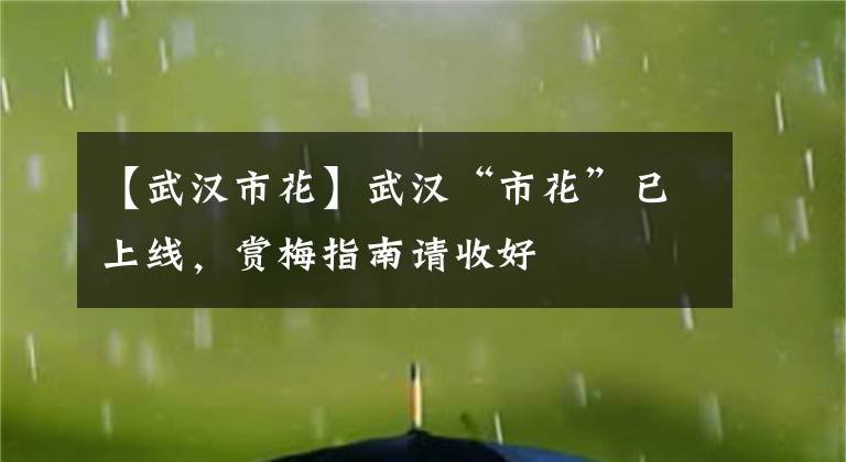 【武漢市花】武漢“市花”已上線，賞梅指南請收好