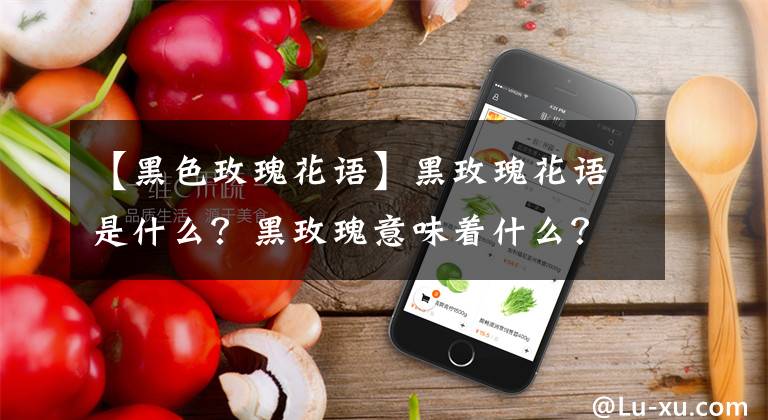 【黑色玫瑰花語】黑玫瑰花語是什么？黑玫瑰意味著什么？