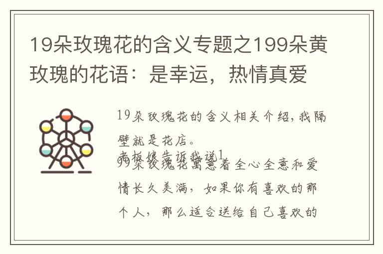 19朵玫瑰花的含義專題之199朵黃玫瑰的花語：是幸運，熱情真愛