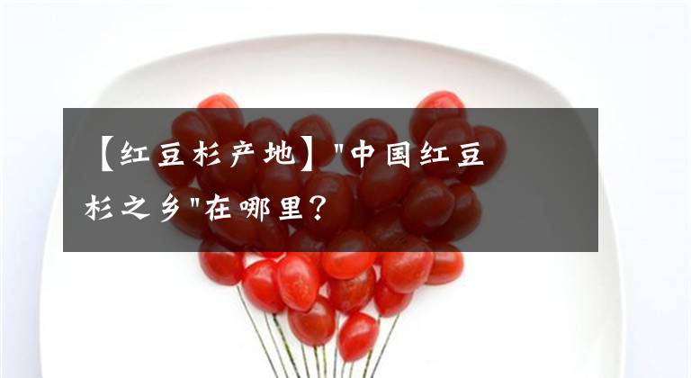 【紅豆杉產(chǎn)地】"中國紅豆杉之鄉(xiāng)"在哪里？