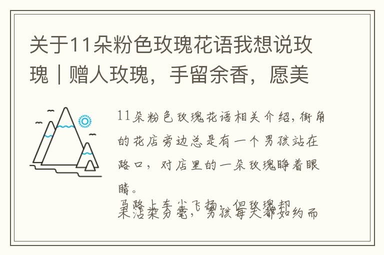 關(guān)于11朵粉色玫瑰花語(yǔ)我想說玫瑰｜贈(zèng)人玫瑰，手留余香，愿美好總是平靜和永恒的