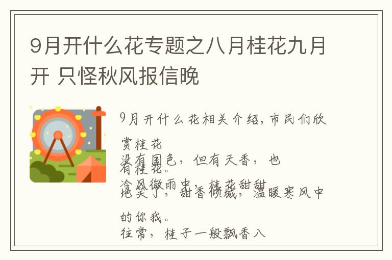 9月開什么花專題之八月桂花九月開 只怪秋風(fēng)報(bào)信晚