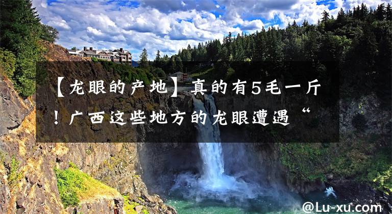 【龍眼的產(chǎn)地】真的有5毛一斤！廣西這些地方的龍眼遭遇“跳樓價(jià)”