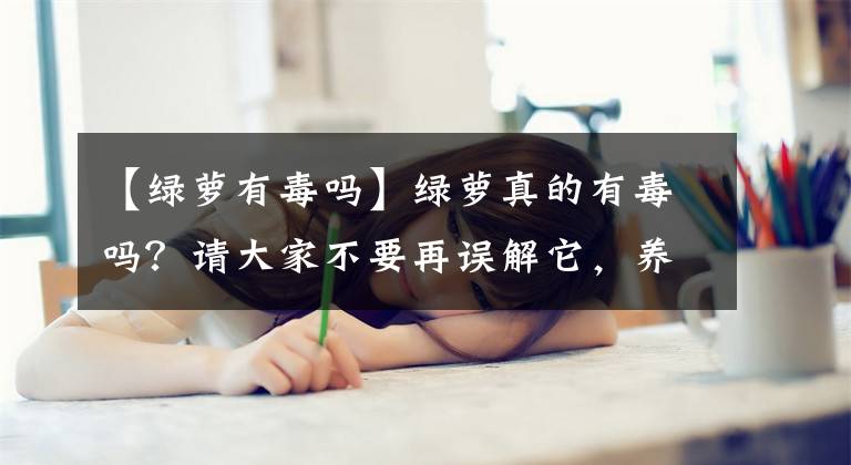 【綠蘿有毒嗎】綠蘿真的有毒嗎？請大家不要再誤解它，養(yǎng)在家里凈化空氣不好嗎？