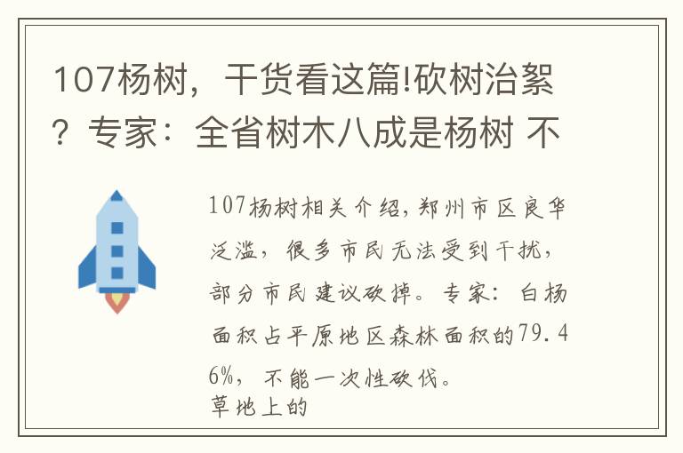 107楊樹，干貨看這篇!砍樹治絮？專家：全省樹木八成是楊樹 不能貿(mào)然砍