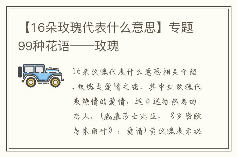 【16朵玫瑰代表什么意思】專題99種花語(yǔ)——玫瑰