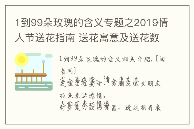 1到99朵玫瑰的含義專題之2019情人節(jié)送花指南 送花寓意及送花數(shù)量多少合適