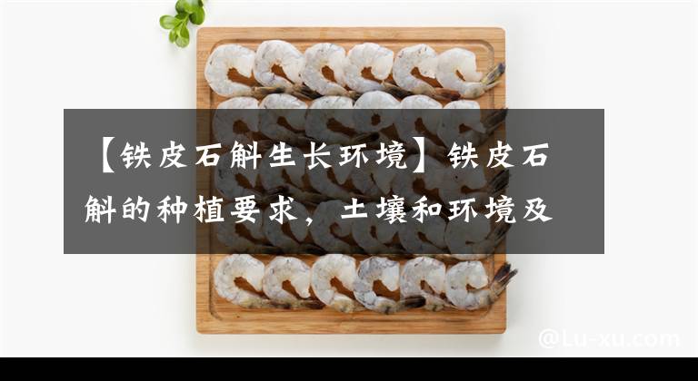 【鐵皮石斛生長(zhǎng)環(huán)境】鐵皮石斛的種植要求，土壤和環(huán)境及溫度是關(guān)鍵