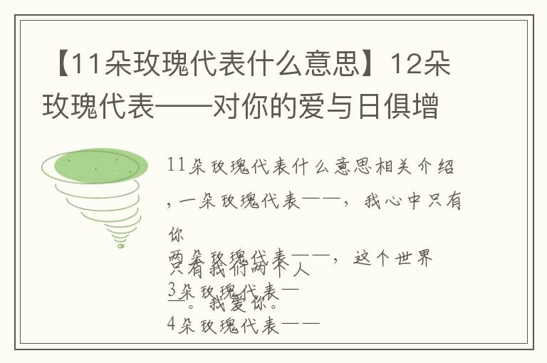 【11朵玫瑰代表什么意思】12朵玫瑰代表——對你的愛與日俱增！