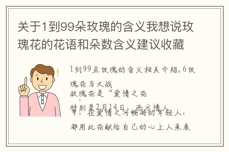 關于1到99朵玫瑰的含義我想說玫瑰花的花語和朵數(shù)含義建議收藏