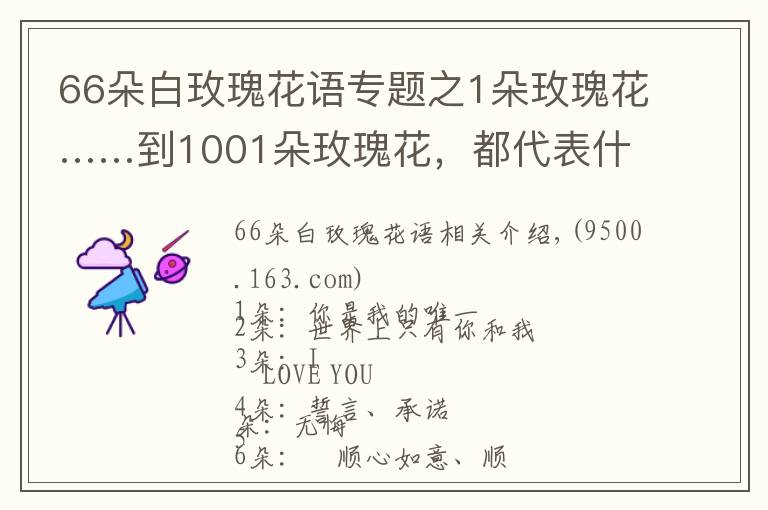 66朵白玫瑰花語專題之1朵玫瑰花……到1001朵玫瑰花，都代表什么，你知道嗎？