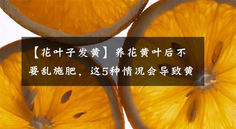 【花葉子發(fā)黃】養(yǎng)花黃葉后不要亂施肥，這5種情況會(huì)導(dǎo)致黃葉，教你快速挽救植物