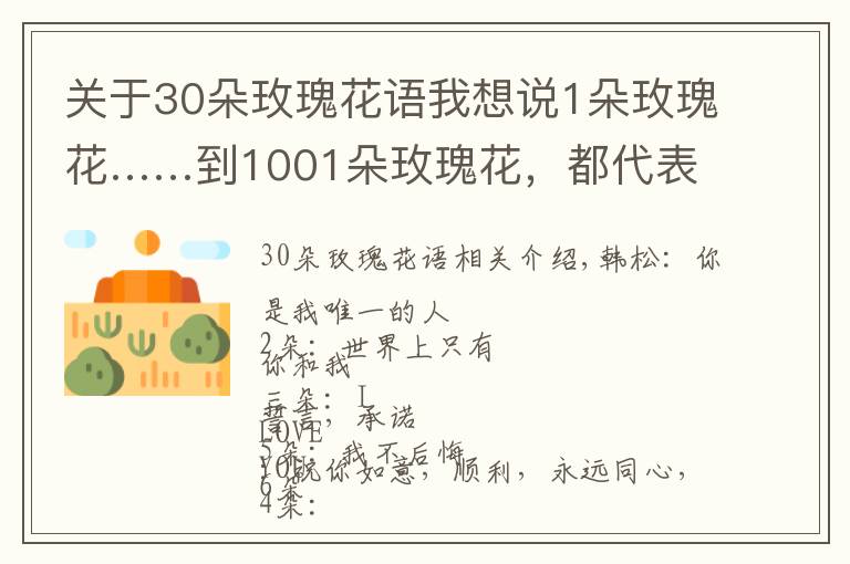 關(guān)于30朵玫瑰花語我想說1朵玫瑰花……到1001朵玫瑰花，都代表什么，你知道嗎？