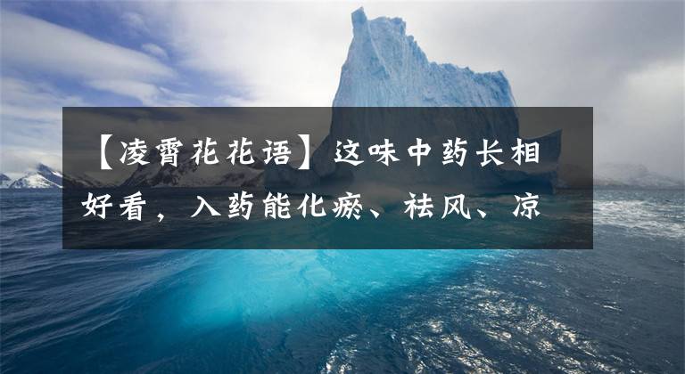 【凌霄花花語】這味中藥長相好看，入藥能化瘀、祛風、涼血，你知道是什么嗎？
