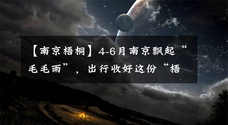 【南京梧桐】4-6月南京飄起“毛毛雨”，出行收好這份“梧桐飄絮預(yù)警地圖”