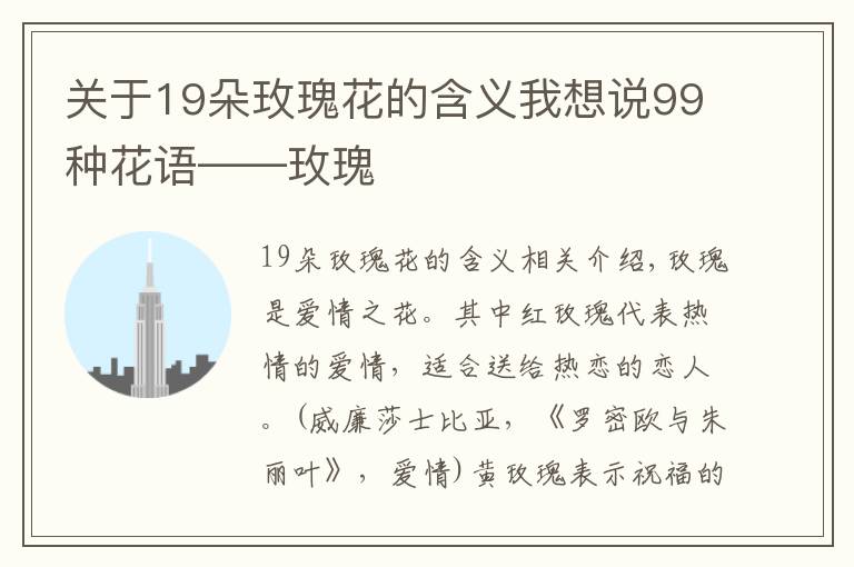 關(guān)于19朵玫瑰花的含義我想說99種花語——玫瑰