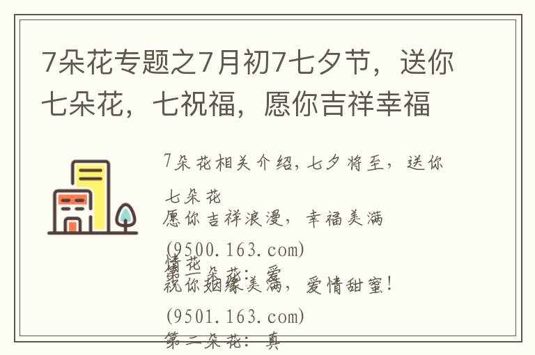 7朵花專題之7月初7七夕節(jié)，送你七朵花，七祝福，愿你吉祥幸福！