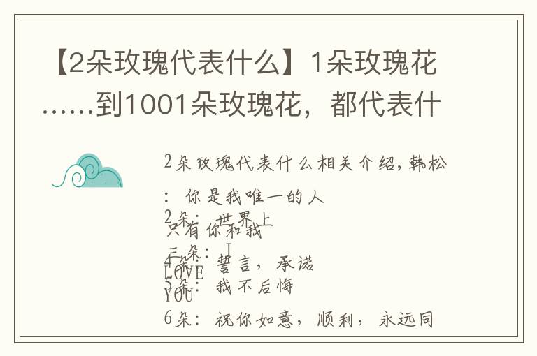 【2朵玫瑰代表什么】1朵玫瑰花……到1001朵玫瑰花，都代表什么，你知道嗎？