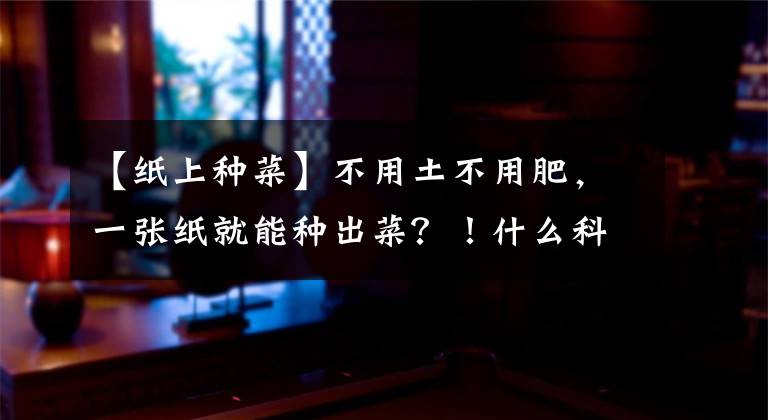 【紙上種菜】不用土不用肥，一張紙就能種出菜？！什么科技這么神奇？