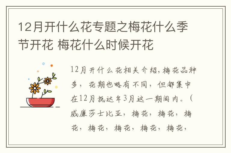 12月開什么花專題之梅花什么季節(jié)開花 梅花什么時候開花