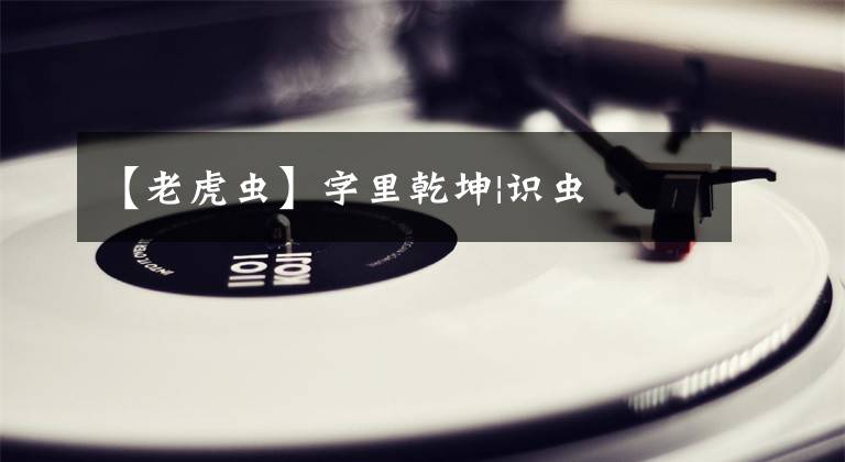 【老虎蟲】字里乾坤|識蟲