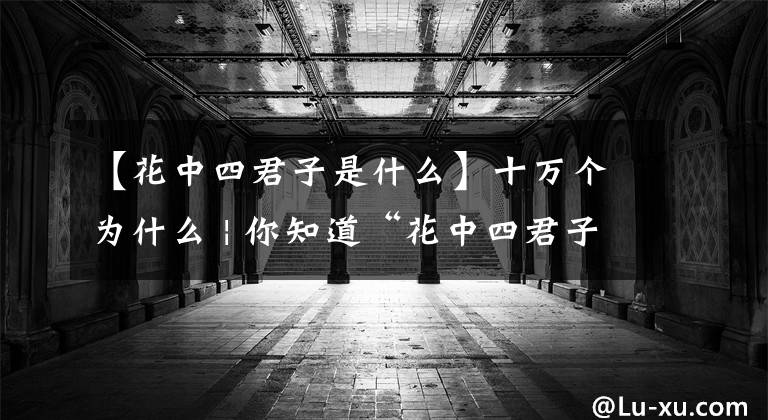 【花中四君子是什么】十萬(wàn)個(gè)為什么 | 你知道“花中四君子”是什么嗎？