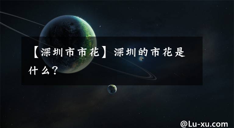 【深圳市市花】深圳的市花是什么？