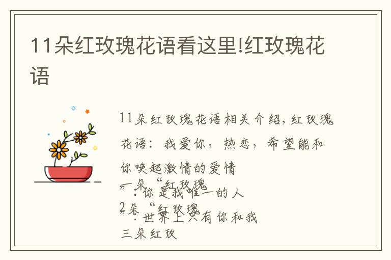 11朵紅玫瑰花語看這里!紅玫瑰花語