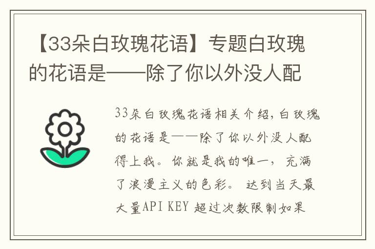 【33朵白玫瑰花語】專題白玫瑰的花語是——除了你以外沒人配得上我