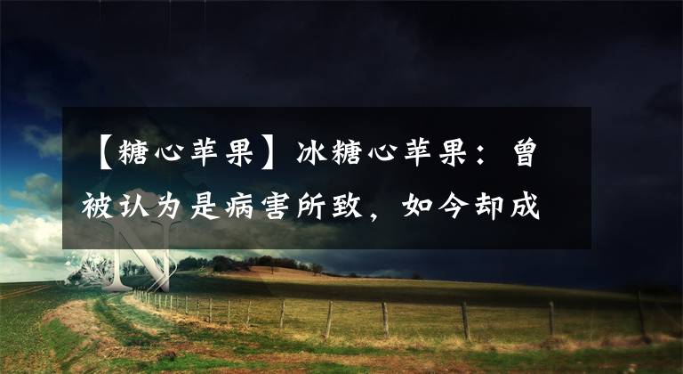 【糖心蘋果】冰糖心蘋果：曾被認為是病害所致，如今卻成賣點，是炒作嗎？