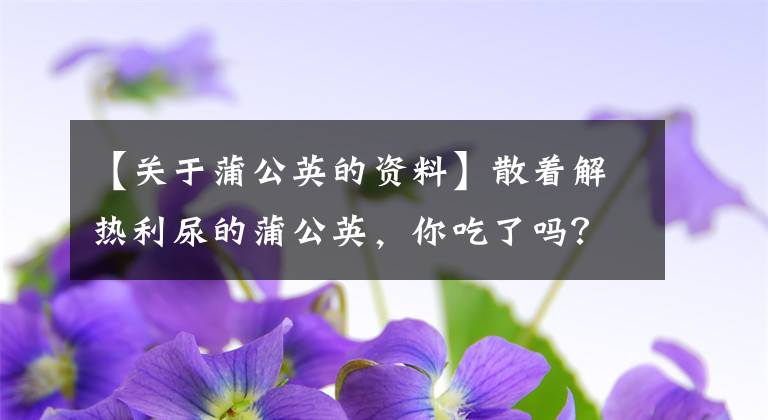 【關(guān)于蒲公英的資料】散著解熱利尿的蒲公英，你吃了嗎？