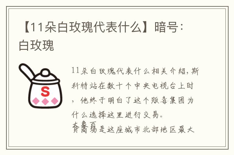 【11朵白玫瑰代表什么】暗號：白玫瑰