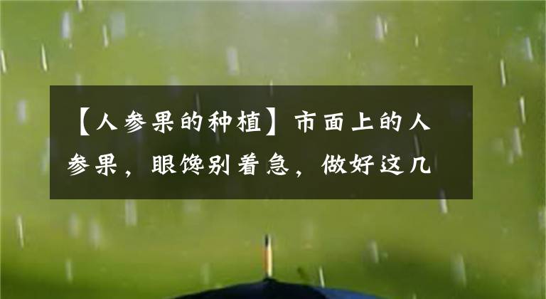 【人參果的種植】市面上的人參果，眼饞別著急，做好這幾點就能種出來